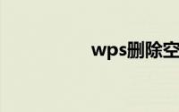 wps删除空白页删不掉