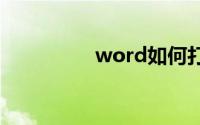 word如何打拼音带声调
