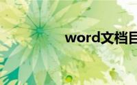 word文档目录页码编辑