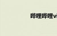哔哩哔哩vip账号共享