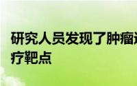 研究人员发现了肿瘤进化的新方面和潜在的治疗靶点