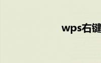 wps右键菜单不见