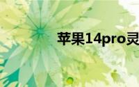 苹果14pro灵动岛怎么设置
