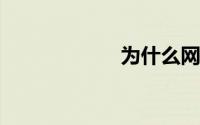 为什么网站打不开