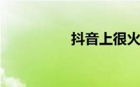 抖音上很火的音乐歌单