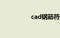 cad钢筋符号怎么输入
