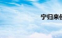 宁归来使用指南