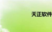 天正软件官网下载