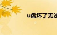 u盘坏了无法识别怎么办