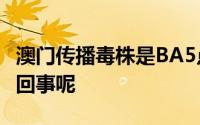 澳门传播毒株是BA5点1传染力较高 这是怎么回事呢