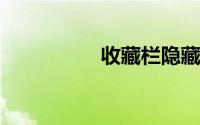 收藏栏隐藏了怎么恢复