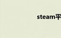 steam平台打不开