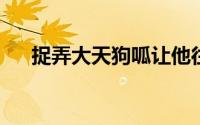 捉弄大天狗呱让他往两颊上抹淤泥的是