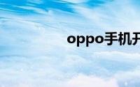 oppo手机开发者选项在
