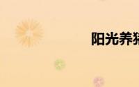 阳光养猪场评介