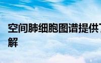 空间肺细胞图谱提供了对疾病和免疫功能的见解