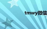 tmwy微信网页版登录