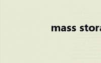 mass storage device