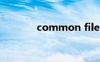 common files是什么文件夹