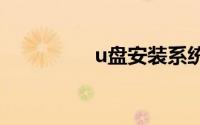 u盘安装系统哪个软件好