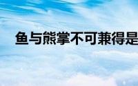 鱼与熊掌不可兼得是形容理财的什么特点