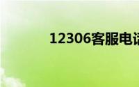 12306客服电话人工服务电话