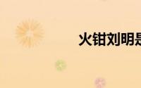 火钳刘明是个什么梗