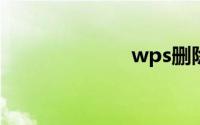 wps删除空白页