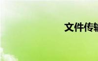 文件传输网页版