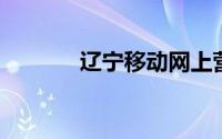 辽宁移动网上营业厅详单查询