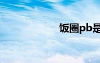 饭圈pb是什么意思