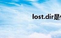 lost.dir是什么文件夹