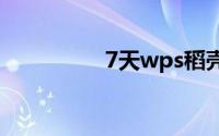 7天wps稻壳会员免费领