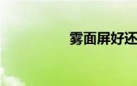 雾面屏好还是镜面屏好