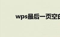 wps最后一页空白页怎么删除不掉