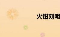 火钳刘明什么意思