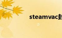 steamvac封禁怎么解封