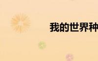 我的世界种子代码城堡