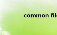 common files是什么文件