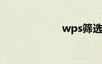 wps筛选重复数据
