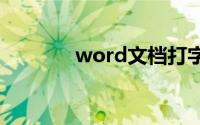 word文档打字后面的字消失