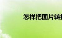 怎样把图片转换成word文档