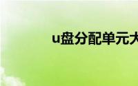 u盘分配单元大小是什么意思