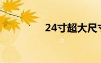 24寸超大尺寸笔记本电脑