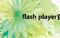 flash player官方下载电脑版
