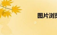 图片浏览器下载