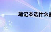 笔记本选什么品牌性价比最高