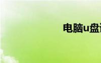 电脑u盘读不出来