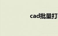 cad批量打印怎么设置