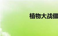 植物大战僵尸汉化补丁